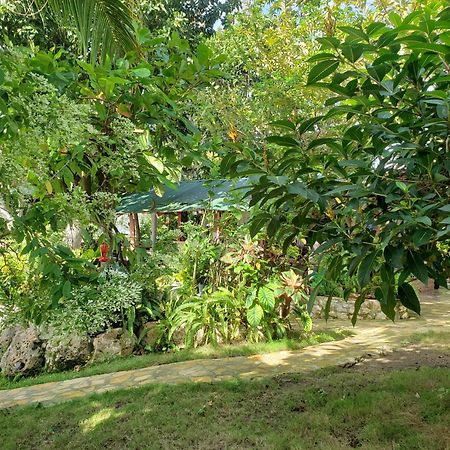 Zapote Tree Inn Флорес Экстерьер фото