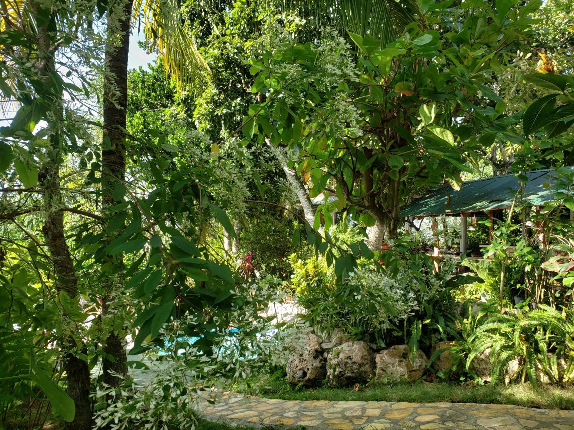 Zapote Tree Inn Флорес Экстерьер фото